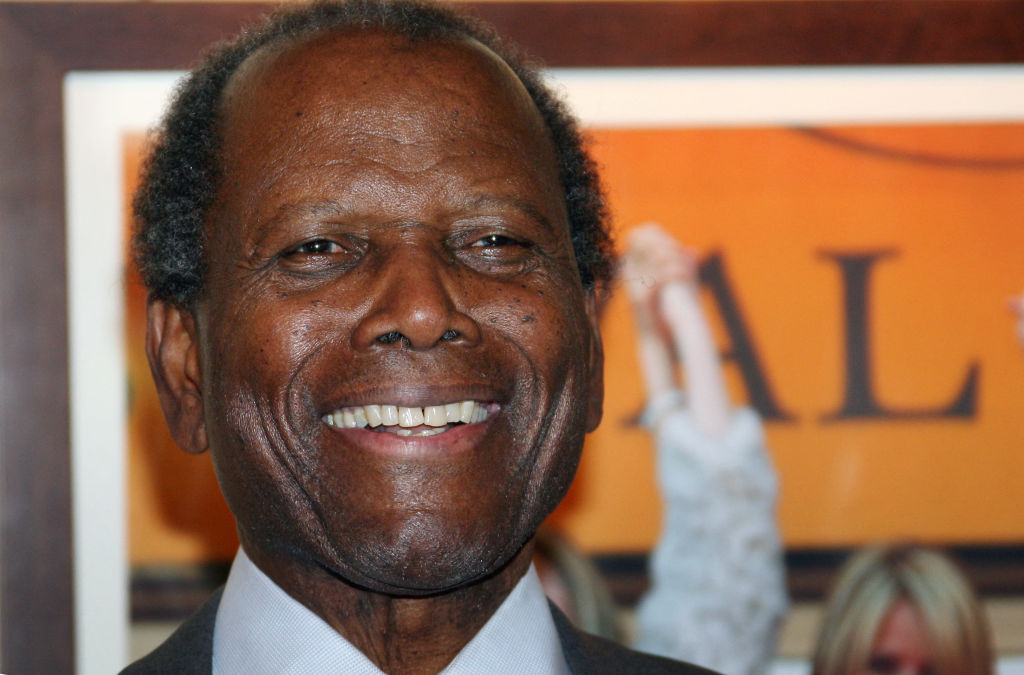 FRANCE-CINEMA-CANNES-FESTIVAL-2006-POITIER-ORDER OF ARTS AND LET